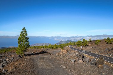 Volkan Teide 'ye giden yol açık. Güzel bir manzarada dolambaçlı dağ yolu. Tenerife, Kanarya Adaları