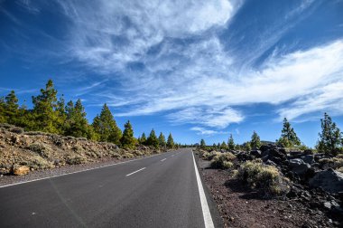 Volkan Teide 'ye giden yol açık. Güzel bir manzarada dolambaçlı dağ yolu. Tenerife, Kanarya Adaları