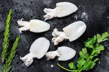 Biberiye ve maydanozlu taze çiğ mürekkep balığı. Siyah arka plan. Üst görünüm