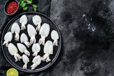 Biberiye ve maydanozlu taze mürekkep balığı. Siyah arka plan. Üst Manzara. Boşluğu kopyala