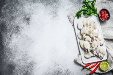 Şili biberli taze mürekkep balığı ve kesim tahtasında maydanoz. Gri arka plan. Üst Manzara. Boşluğu kopyala