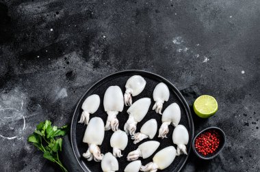 Biberiye ve maydanozlu taze mürekkep balığı. Siyah arka plan. Üst Manzara. Boşluğu kopyala