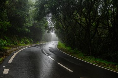 Sisin içinde dolambaçlı orman yolu. La Gomera adasının dağları