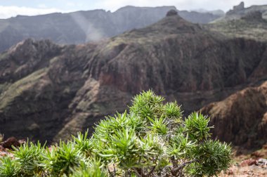 Güzel manzara arka planı. Seçici odaklanma. La Gomera adasındaki volkanik dağlar