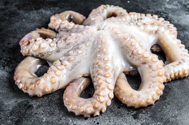 Taze çiğ ahtapot, organik deniz ürünleri. Siyah arka plan. Üst görünüm.