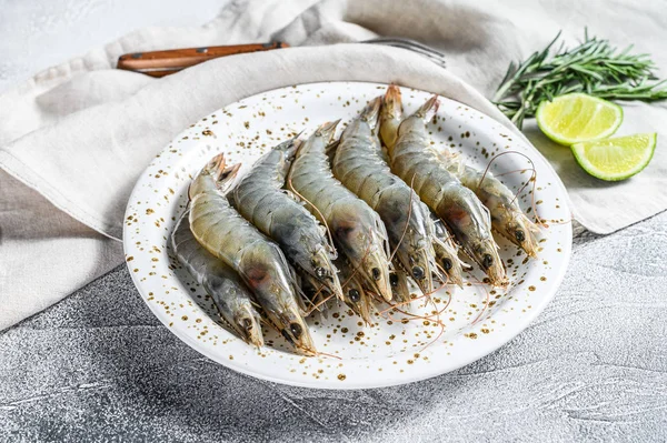 Gamberetti Giganti Langoustine Freschi Piatto Bianco Sfondo Grigio Vista Dall — Foto Stock