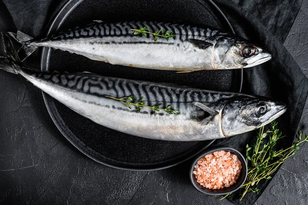 Makrelenfisch Mit Thymian Und Rosa Salz Frische Meeresfrüchte Schwarzer Hintergrund — Stockfoto