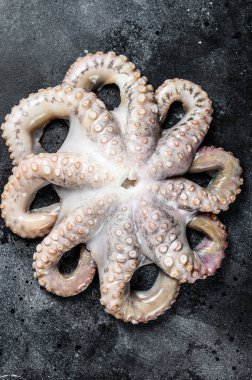 Taze çiğ ahtapot, organik deniz ürünleri. Siyah arka plan. Üst görünüm.