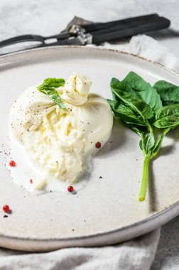 Beyaz tabakta Basil yapraklı Mozzarella Burrata peyniri. Gri arka plan. Üst görünüm.