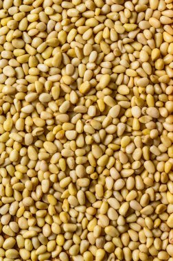 Çam fıstığının dokusu. Üst Manzara. Metin için boşluk.