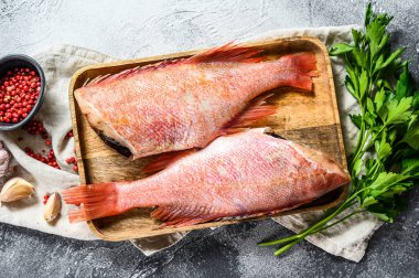 Çiğ kırmızı levrek. Gri arka plan. Üst görünüm.