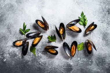 Çiğ taze midye. Gri arka plan. Üst Manzara. Metin için boşluk.