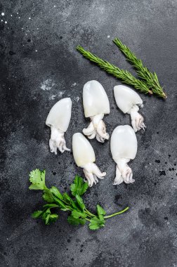 Biberiye ve maydanozlu taze çiğ mürekkep balığı. Siyah arka plan. Üst görünüm.