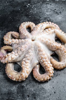 Masada taze çiğ ahtapot var. Siyah arka plan. Üst görünüm.
