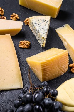 Cevizli ve üzümlü peynirin farklı türleri. Siyah arka plan. Üst görünüm.