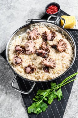 Parmesan ve maydanozla süslenmiş ahtapot mantarlı İtalyan Risotto 'su. Gri arka plan. Üst görünüm.