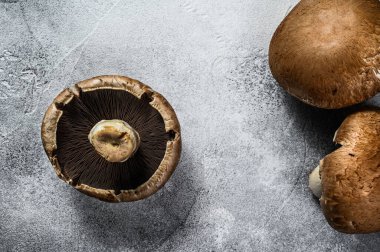 Portobello. Çiftlik organik gıdalar. Gri arka plan. Üst görünüm.