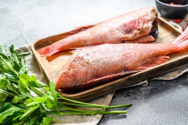 Ahşap bir kasede maydanozlu çiğ deniz levreği. Gri arka plan. Üst görünüm.