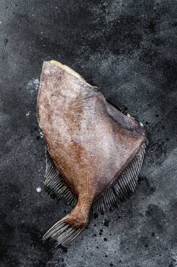 Çiğ balık John Dory. Siyah arka plan. Üst Manzara. Boşluğu kopyala.