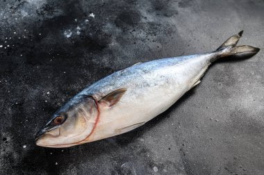 Çiğ Japon sarıkuyruğu. Taze Balık Amberjack. Siyah arka plan. Üst görünüm.