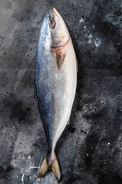 Taze, çiğ Japon sarıkuyruğu. Balık Amberjack. Siyah arka plan. Üst görünüm.