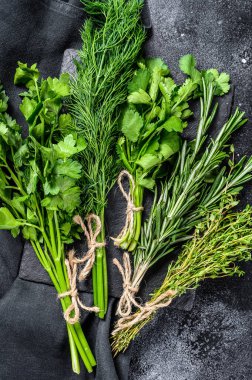 Taze otlar, kişniş, biberiye, kekik, dereotu, maydanoz. Bir sürü taze sos. Siyah arka plan. Üst görünüm