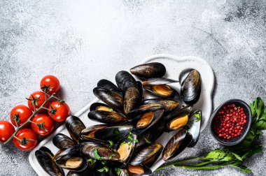 Kabuklu taze pişmemiş midye. Maydanozlu domates sosu pişirme fikri. Gri arka plan. Üst Manzara. Metin için boşluk.