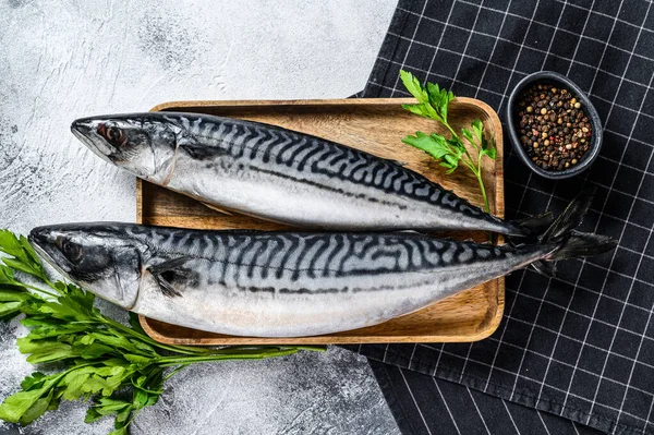 Roher Makrelenfisch Mit Petersilie Und Pfeffer Frische Meeresfrüchte Grauer Hintergrund — Stockfoto