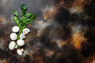 Çiğ mantar şampiyonu. Karanlık arka plan. Üst Manzara. Metin için boşluk.