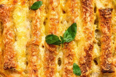 Domates soslu ve peynirli etli cannelloni. İtalyan mutfağı. Gri arka plan. en üstteki görünüm.