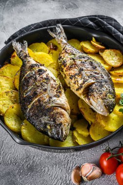 Tavada patatesli ızgara balık. Gri arka plan. en üstteki görünüm