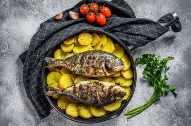 Tavada patates ile ızgara Dorado balığı. Gri arka plan. en üstteki görünüm.