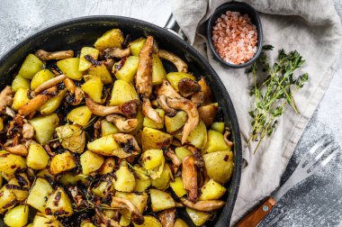 Kızarmış istiridye mantarı ve tavada patates. Gri arka plan. Üst görünüm.