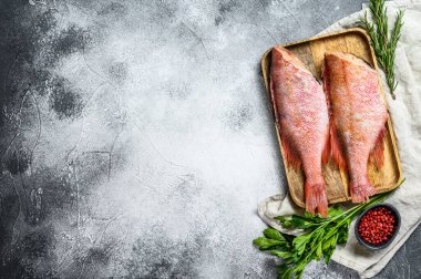 Çiğ kızıl deniz levreği. Gri arka plan. Üst Manzara. Metin için boşluk.