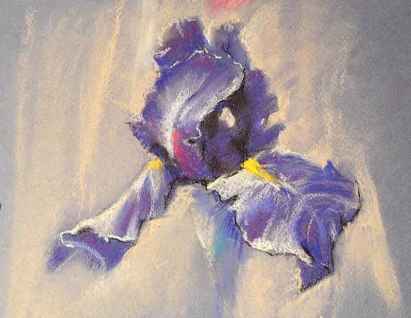 紫罗兰花艺术柔和的乳胶 — 图库照片
