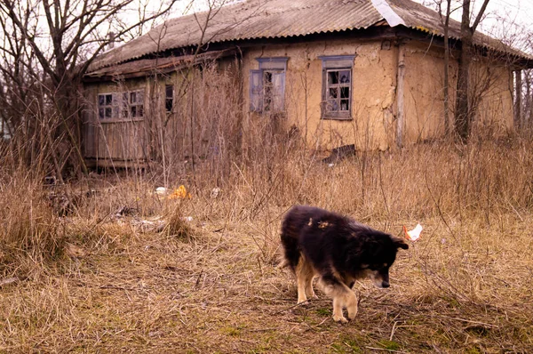 Old Ruined Village House Abandoned Rural Yard Window Frame Broken — Stock Photo, Image