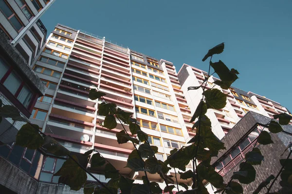 Kentsel ormanlar ve beton çöller