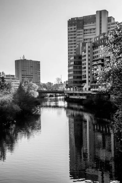 Kentsel ormanlar ve beton çöller