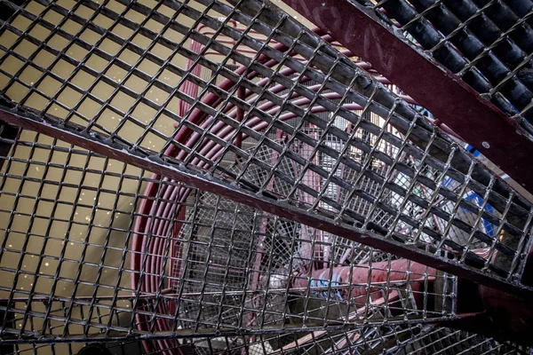 Kentsel ormanlar ve beton çöller