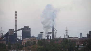 Dumanlı Metalurji bitki video