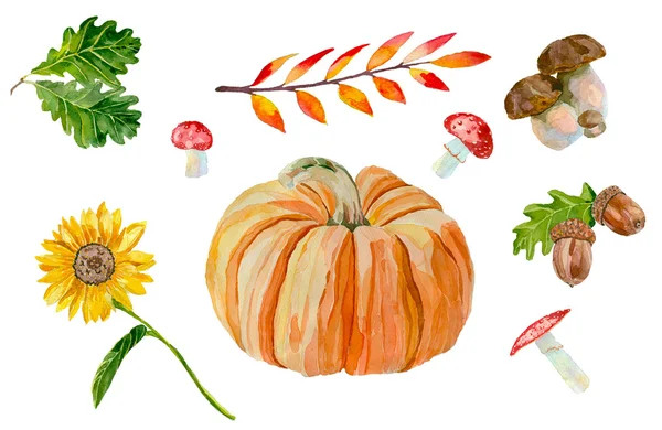 Conjunto de elementos de outono aquarela —  Vetores de Stock