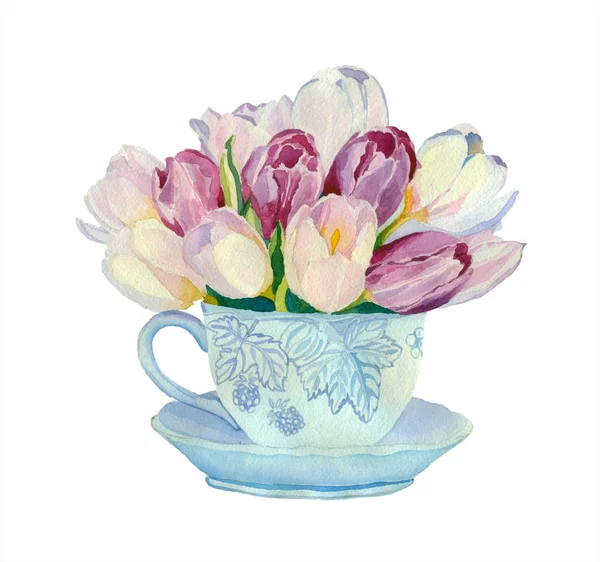 Akvarell tulipán egy csésze — Stock Vector