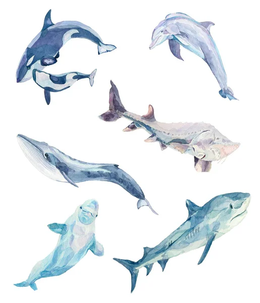 Conjunto de acuarela azul pescado — Vector de stock