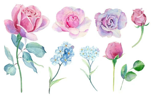 Set acquerello con rose diverse . — Vettoriale Stock