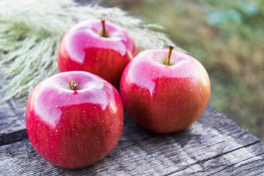 Tahta masadaki kırmızı taze elma yığını. Vitaminler ve sağlıklı bir diyet. Vejetaryen konsepti.
