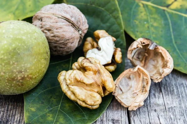 Καρύδια καρύδια και ολόκληρα καρύδια βρίσκονται δίπλα σε ξηρούς καρπούς με πράσινα κοχύλια και πράσινα φύλλα σε ένα ρουστίκ παλιό ξύλινο τραπέζι. — Φωτογραφία Αρχείου