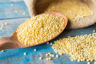 Üzerinde darı olan tahta bir kaşık eski mavi tahtaların arka planında bir darı torbasının yanında yatıyor..