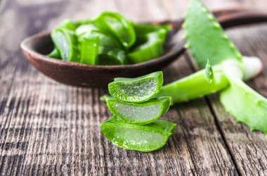 Taze aloe vera yaprakları ve ahşap bir arka planda kaşıkta aloe vera dilimleri..