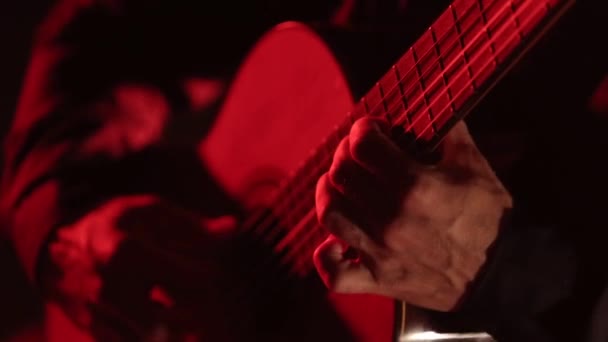 ギター ストリングスとフロントボードのクローズアップ アコースティック ギターを演奏するギタリスト — ストック動画