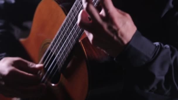 Close Cordas Guitarra Fretboard Guitarrista Tocando Uma Guitarra Acústica — Vídeo de Stock